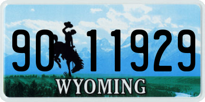 WY license plate 9011929