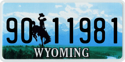 WY license plate 9011981