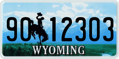 WY license plate 9012303