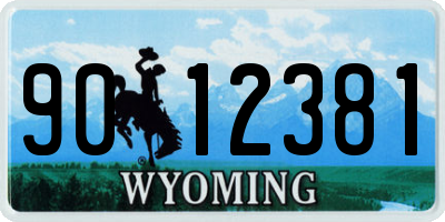 WY license plate 9012381