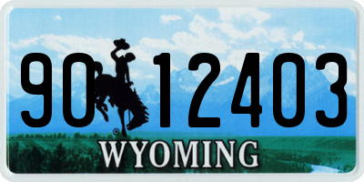 WY license plate 9012403