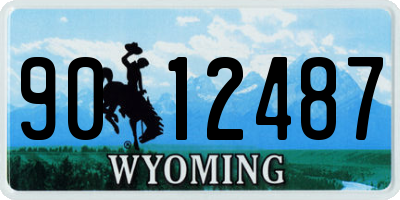WY license plate 9012487