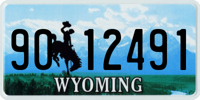 WY license plate 9012491