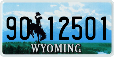 WY license plate 9012501
