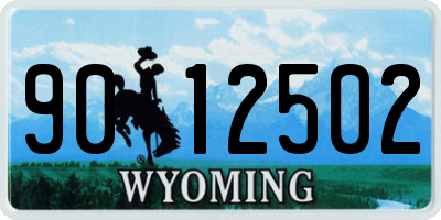 WY license plate 9012502
