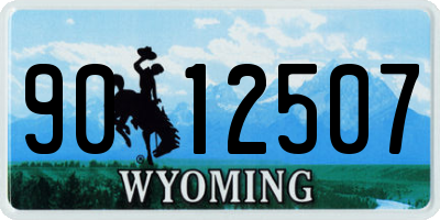 WY license plate 9012507