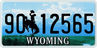 WY license plate 9012565
