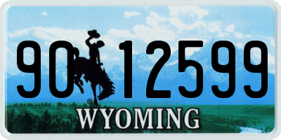 WY license plate 9012599