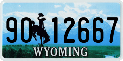WY license plate 9012667