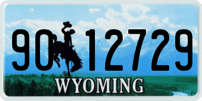 WY license plate 9012729