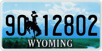 WY license plate 9012802