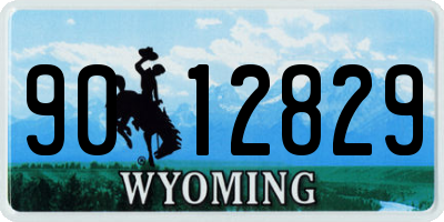 WY license plate 9012829