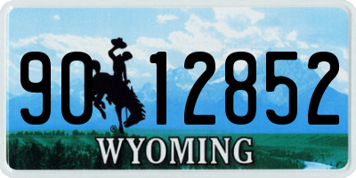 WY license plate 9012852