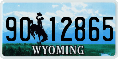 WY license plate 9012865