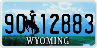 WY license plate 9012883