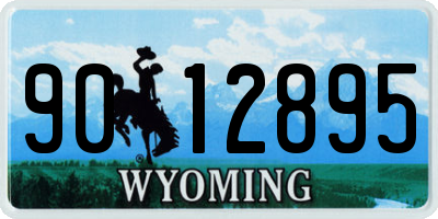 WY license plate 9012895