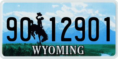 WY license plate 9012901