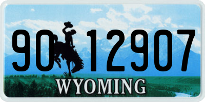 WY license plate 9012907