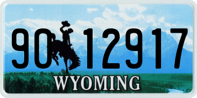 WY license plate 9012917