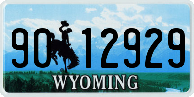 WY license plate 9012929