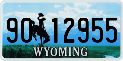 WY license plate 9012955