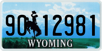 WY license plate 9012981