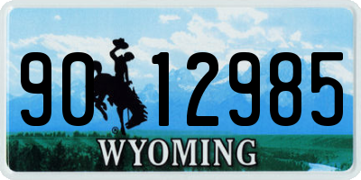 WY license plate 9012985