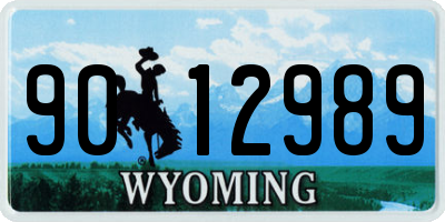 WY license plate 9012989