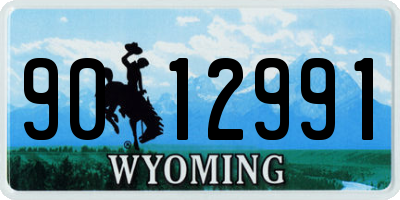 WY license plate 9012991