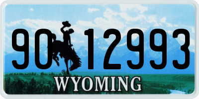 WY license plate 9012993