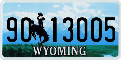 WY license plate 9013005