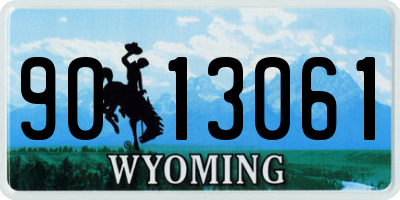 WY license plate 9013061