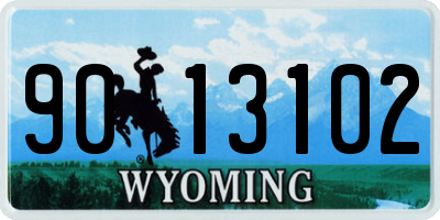 WY license plate 9013102