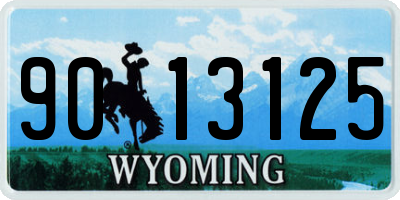 WY license plate 9013125