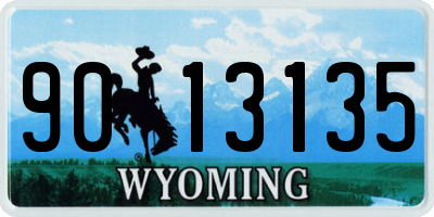 WY license plate 9013135