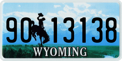 WY license plate 9013138