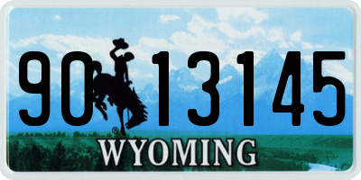 WY license plate 9013145