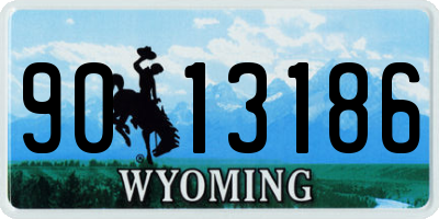 WY license plate 9013186