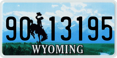 WY license plate 9013195