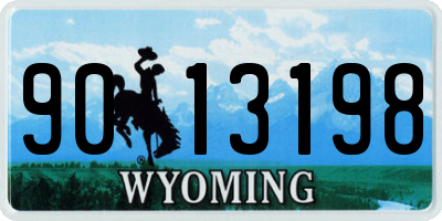 WY license plate 9013198