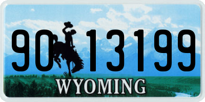 WY license plate 9013199