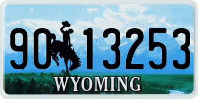 WY license plate 9013253