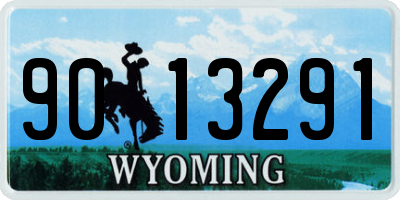 WY license plate 9013291
