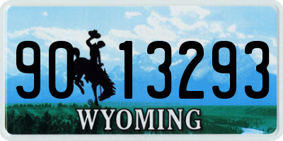 WY license plate 9013293