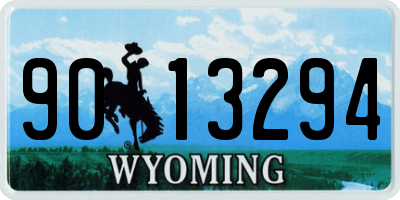 WY license plate 9013294