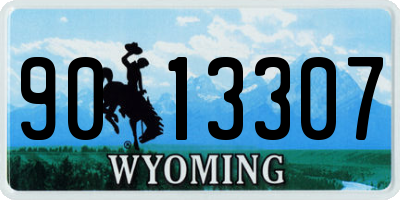WY license plate 9013307