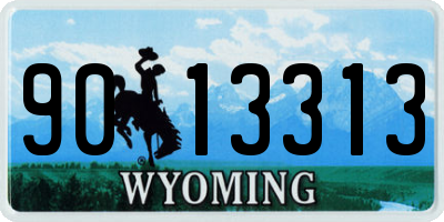 WY license plate 9013313