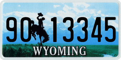WY license plate 9013345