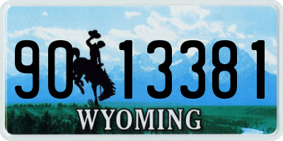 WY license plate 9013381
