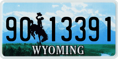 WY license plate 9013391